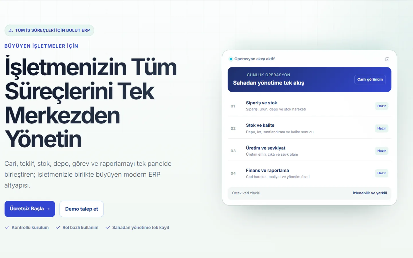ERP Sistem web sitesi ekran görüntüsü